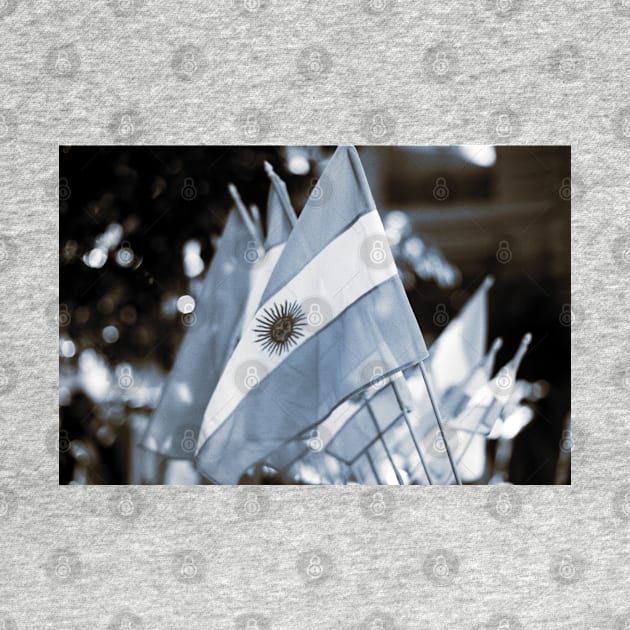 Argentinian Flags - Buenos Aires by Kat C.